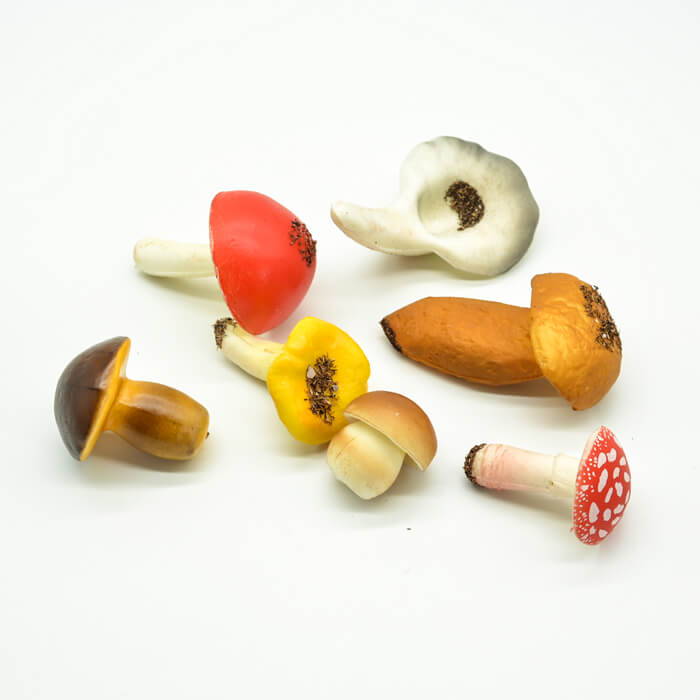 Набор муляжей «Грибы»