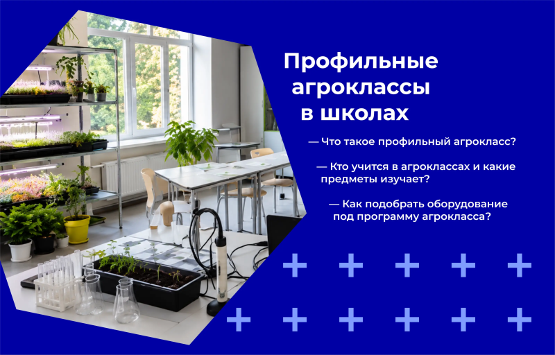 Профильные агроклассы в школах: что это такое и как их оборудовать