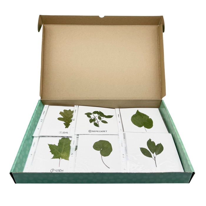Гербарий Растительные сообщества (9 видов х 5 планшетов)