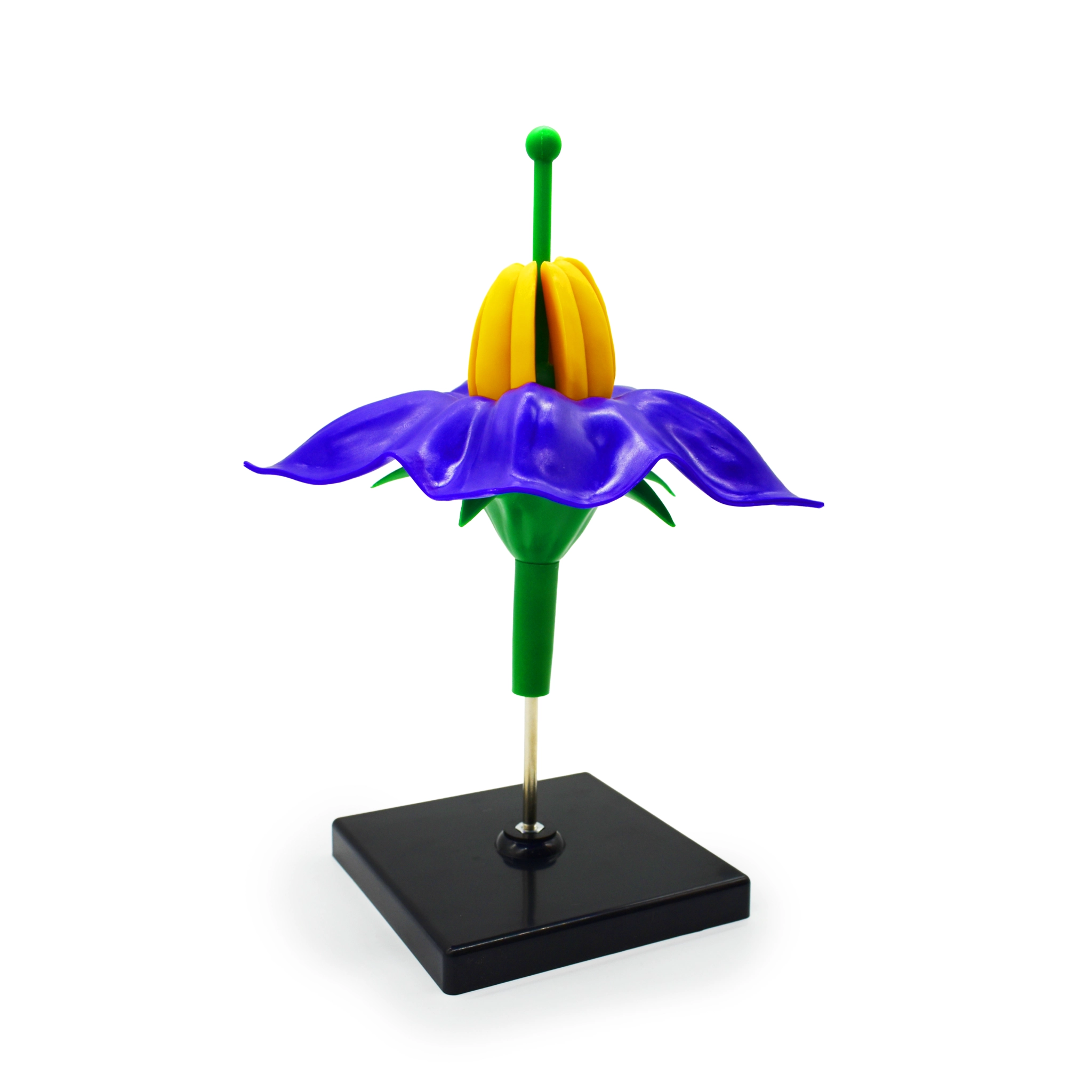 Модель «Цветок картофеля», фиолетовый