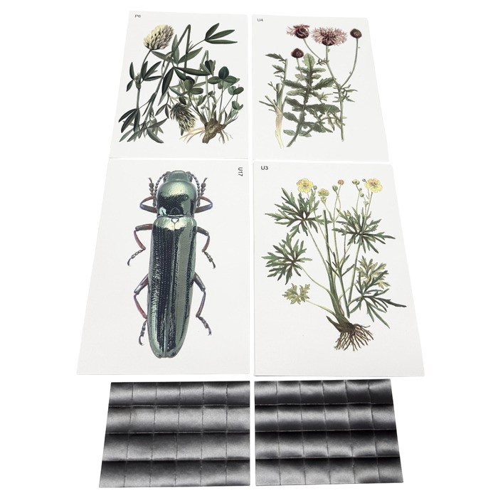 Модель-аппликация Основные направления эволюции Модель-аппликация Основные направления эволюции