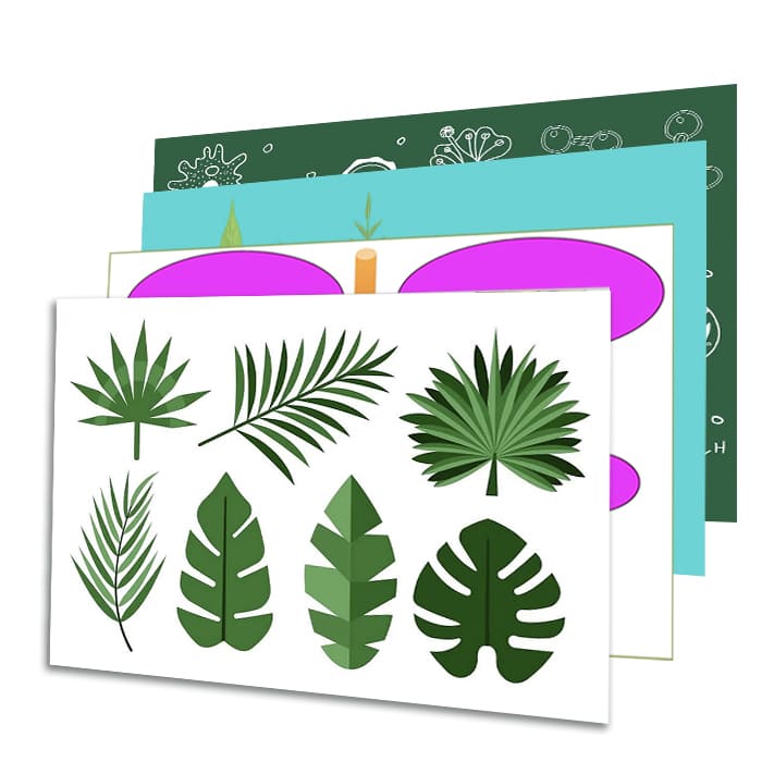 Модели-аппликации по ботанике (7 товаров) Модели-аппликации по ботанике (7 товаров)