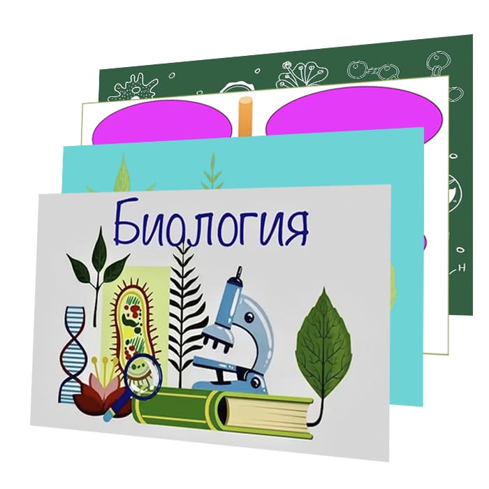 Комплект моделей аппликаций по курсу биологии (48 товаров) Комплект моделей аппликаций по курсу биологии (48 товаров)
