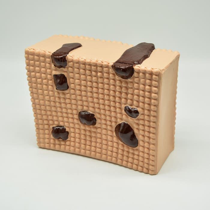 Модель «Строение клеточной оболочки» Модель «Строение клеточной оболочки»