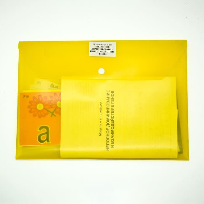 Модель-аппликация Неполное доминирование и взаимодействие генов Модель-аппликация Неполное доминирование и взаимодействие генов