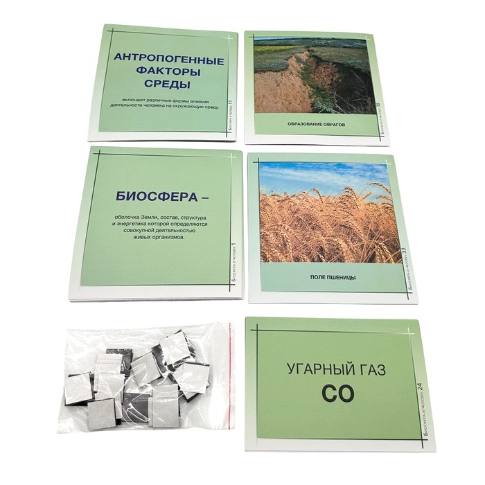 Модель-аппликация Биосфера и человек Модель-аппликация Биосфера и человек
