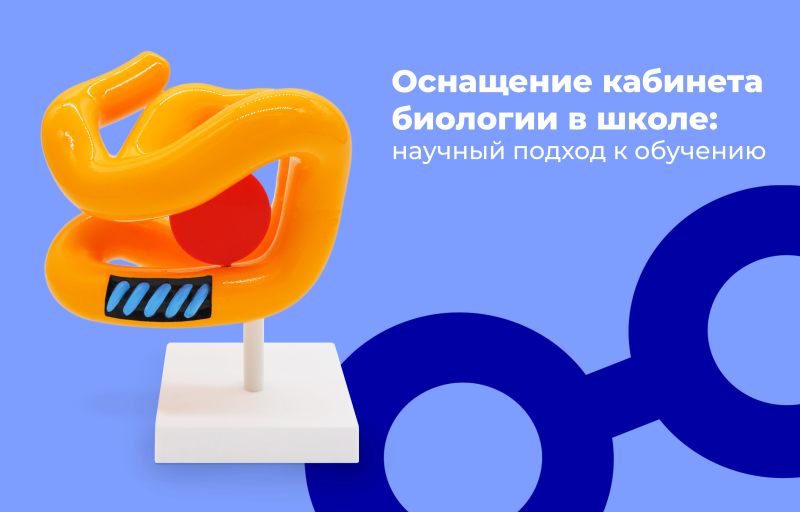 Оснащение кабинета биологии: научный подход к обучению