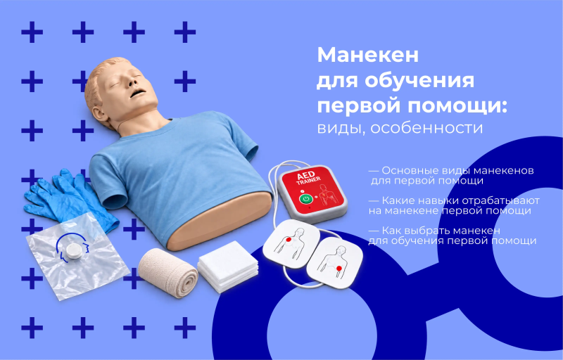 Манекен для обучения первой помощи: виды, названия и применение