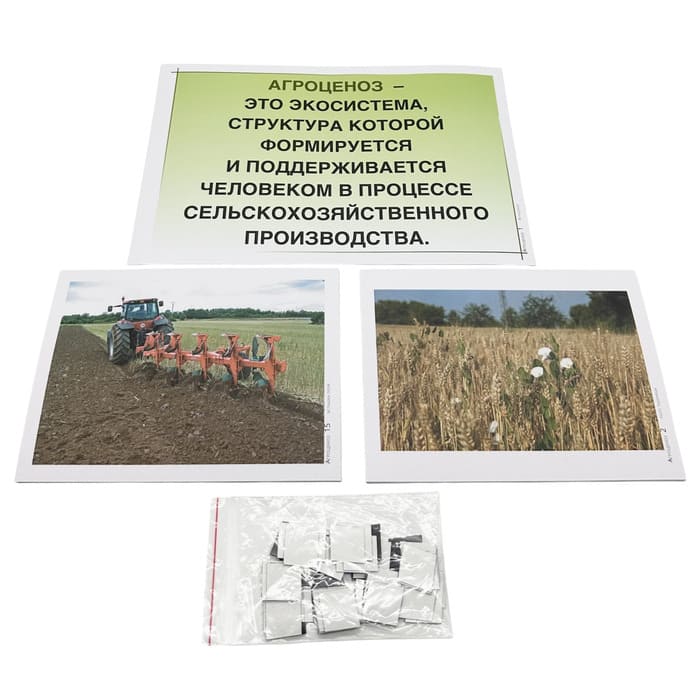 Модель-аппликация Агроценоз Модель-аппликация Агроценоз