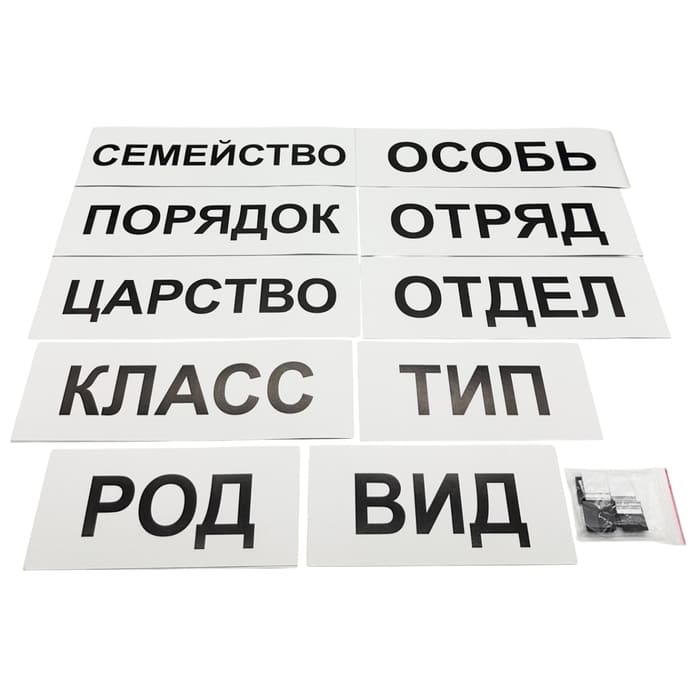 Модель-аппликация Классификация растений и животных Модель-аппликация Классификация растений и животных