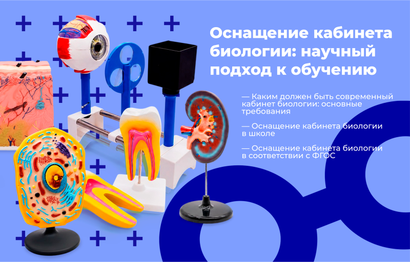Оснащение кабинета биологии: научный подход к обучению