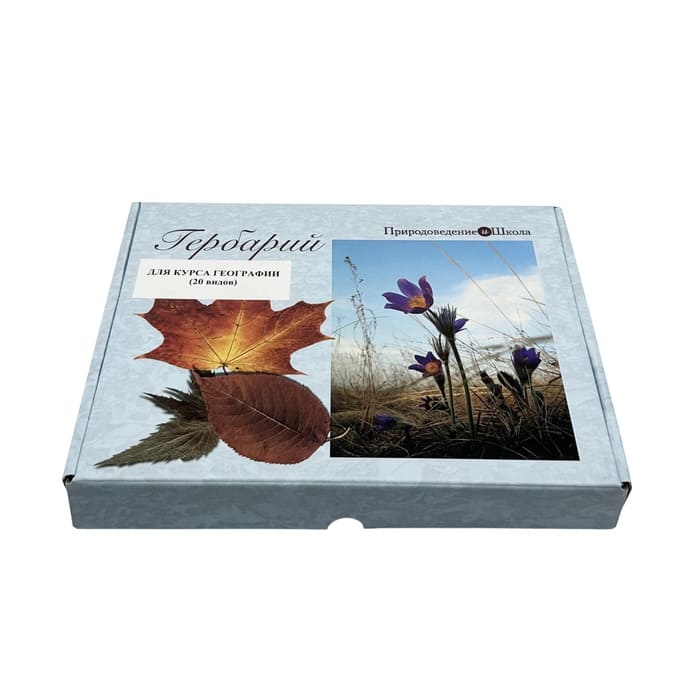 Природные зоны России Природные зоны России