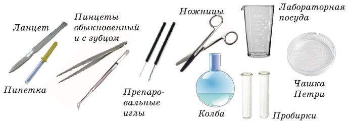 инстумены для биологии