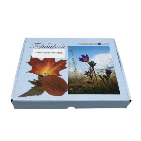Гербарий Морфология растений (5 тем х 3 листа) Гербарий Морфология растений (5 тем х 3 листа)