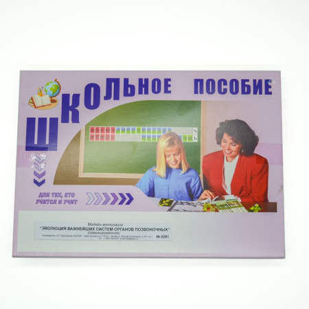 Модель-аппликация Эволюция систем органов позвоночных животных