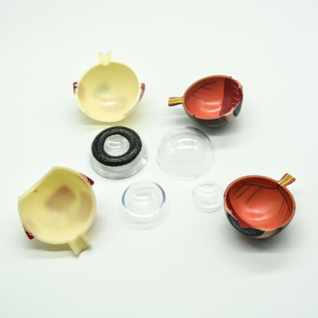 Модель «Глаз человека», лабораторная, 18 см Модель «Глаз человека», лабораторная, 18 см