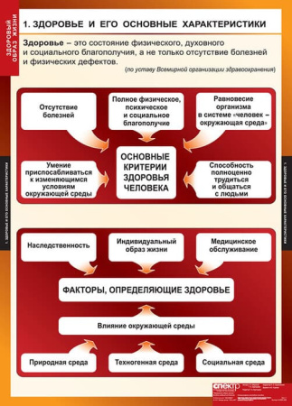 Здоровый образ жизни (Комплект таблиц 8 шт. ОБЖ) 5-8649-008