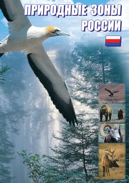 Учебный фильм. Природные зоны России (МР4) 216008304МР Учебный фильм. Природные зоны России (МР4) 216008304МР