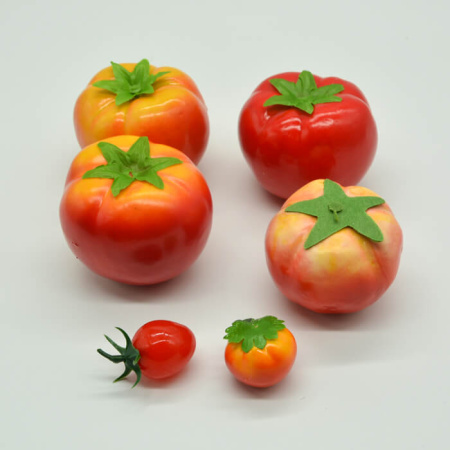Набор муляжей «Дикая форма и культурные сорта томатов» (6) Набор муляжей «Дикая форма и культурные сорта томатов» (6)