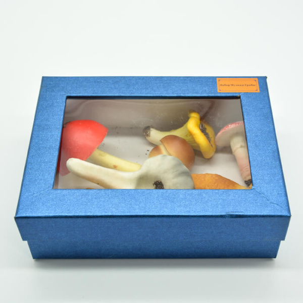 Набор муляжей «Грибы» Набор муляжей «Грибы»