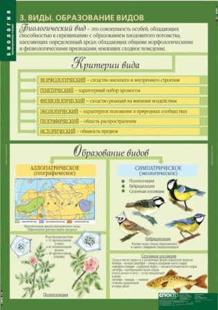 Эволюционное учение (Комплект таблиц 10 шт. Биология 10-11 кл.) 5-8702-010 Эволюционное учение (Комплект таблиц 10 шт. Биология 10-11 кл.) 5-8702-010