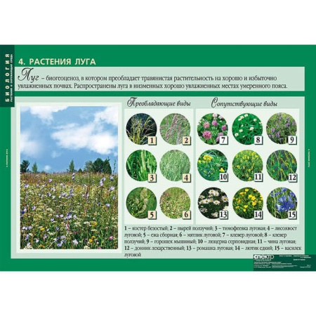 Растения и окружающая среда (Комплект таблиц 7 шт. Биология) 2-072-637 Растения и окружающая среда (Комплект таблиц 7 шт. Биология) 2-072-637