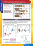 Физика (Комплект таблиц 20 шт. 9 кл.) 5-8588-020