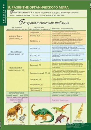 Эволюционное учение (Комплект таблиц 10 шт. Биология 10-11 кл.) 5-8702-010 Эволюционное учение (Комплект таблиц 10 шт. Биология 10-11 кл.) 5-8702-010