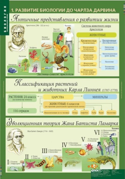 Эволюционное учение (Комплект таблиц 10 шт. Биология 10-11 кл.) 5-8702-010 Эволюционное учение (Комплект таблиц 10 шт. Биология 10-11 кл.) 5-8702-010