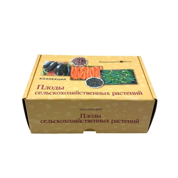 Коллекция Плоды сельскохозяйственных растений Коллекция Плоды сельскохозяйственных растений