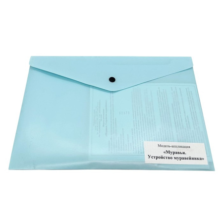 Модель-аппликация Муравьи. Устройство муравейника Модель-аппликация Муравьи. Устройство муравейника