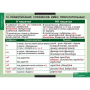Русский язык (Комплект таблиц 19 шт. 10 кл.) 5-8661-019 Русский язык (Комплект таблиц 19 шт. 10 кл.) 5-8661-019