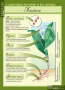 Общее знакомство с цветковыми растениями (Комплект таблиц 6 шт. Биология) 2-072-627