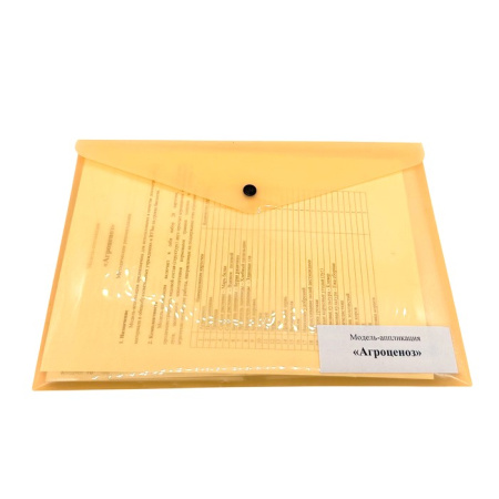 Модель-аппликация Агроценоз