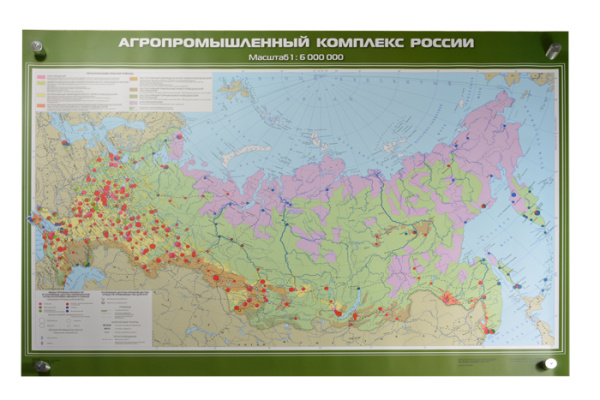 Агропромышленный комплекс России, 100x140 см (Карта. География 8-9 кл.) КН-0821 Агропромышленный комплекс России, 100x140 см (Карта. География 8-9 кл.) КН-0821