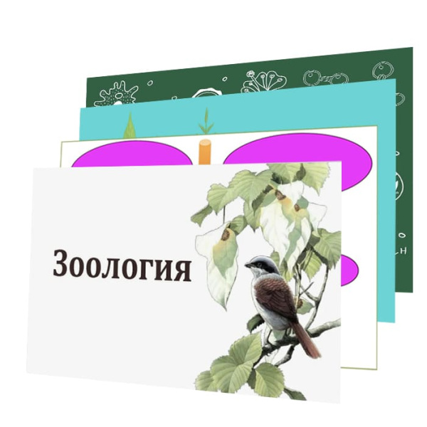 Модели-аппликации по зоологии (18 товаров) Модели-аппликации по зоологии (18 товаров)