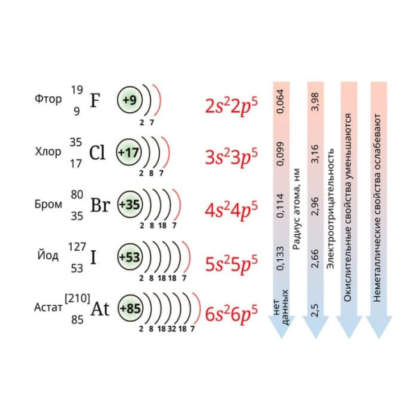 Неметаллы. Интерактивное учебное пособие (v.5.0) (BOX. Наглядная Химия) 464-0008175612 Неметаллы. Интерактивное учебное пособие (v.5.0) (BOX. Наглядная Химия) 464-0008175612