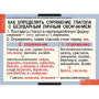 Русский язык (Комплект таблиц 14 шт. 5 кл.) 4-1123-014 Русский язык (Комплект таблиц 14 шт. 5 кл.) 4-1123-014