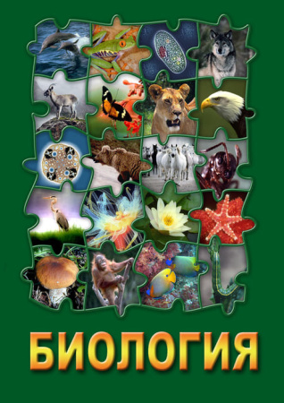 Учебный фильм. Биология-3 (МР4) 21603498-3МР Учебный фильм. Биология-3 (МР4) 21603498-3МР