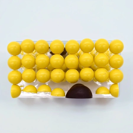 Модель «Строение клеточной оболочки», разборная