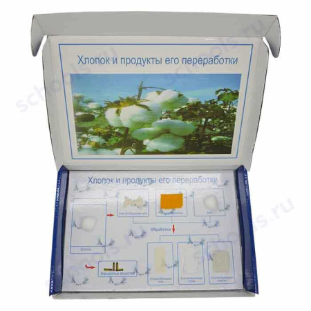 Коллекция «Хлопок и продукты его переработки» демонстрационная