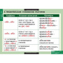 Русский язык (Комплект таблиц 19 шт. 10 кл.) 5-8661-019 Русский язык (Комплект таблиц 19 шт. 10 кл.) 5-8661-019