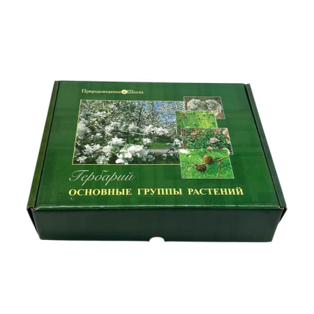 Гербарий Основные группы растений (52 листа) Гербарий Основные группы растений (52 листа)