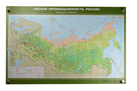 Лесная промышленность России, 100x140 см (Карта. География 8-9 кл.) КН-0824