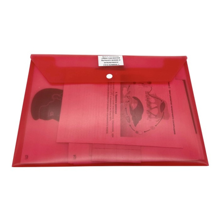 Модель-аппликация Цикл развития бычьего цепня и печеночного сосальщика Модель-аппликация Цикл развития бычьего цепня и печеночного сосальщика