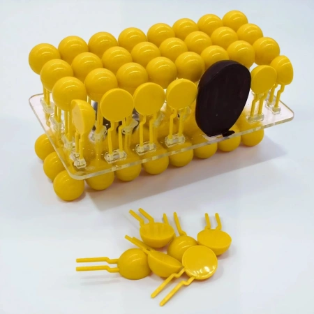 Модель «Строение клеточной оболочки», разборная