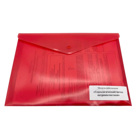 Модель-аппликация Генеалогический метод антропогенетики