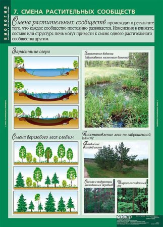 Растения и окружающая среда (Комплект таблиц 7 шт. Биология) 2-072-637 Растения и окружающая среда (Комплект таблиц 7 шт. Биология) 2-072-637