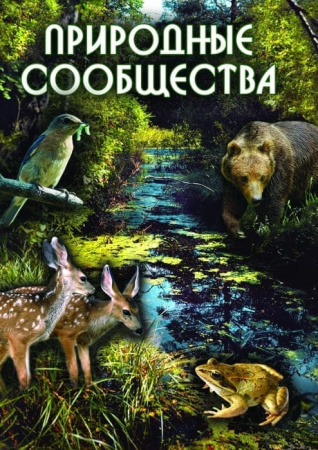 Учебный фильм. Природные сообщества (МР4) 216014809МР Учебный фильм. Природные сообщества (МР4) 216014809МР
