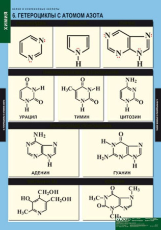 Белки и нуклеиновые кислоты (Комплект таблиц 8 шт. Химия) 2-080-490